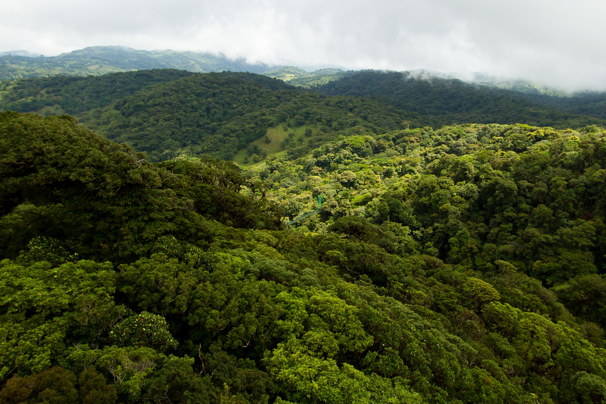 A Vista Above the Clouds